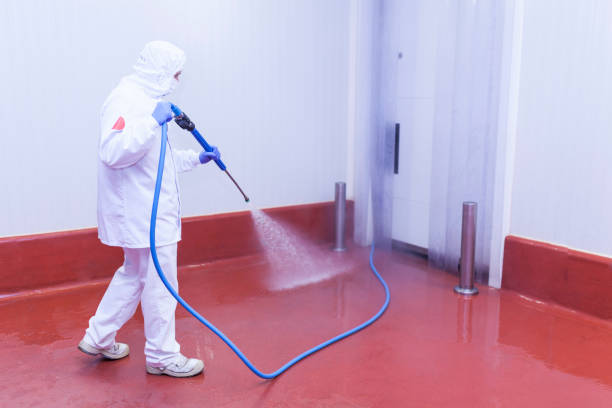 Best Commercial Pressure Washing in Chevy Chase, MD
